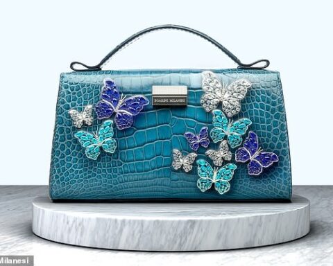 Boarini Milanesi's Parva Mea Luxurious Handbag