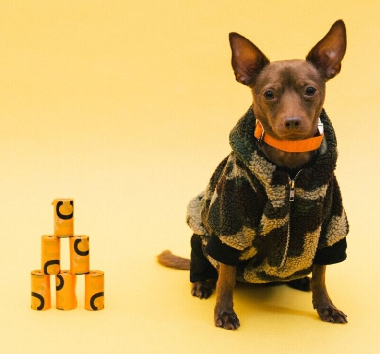fashion-brands-doing-dog-clothes-pop-cultr