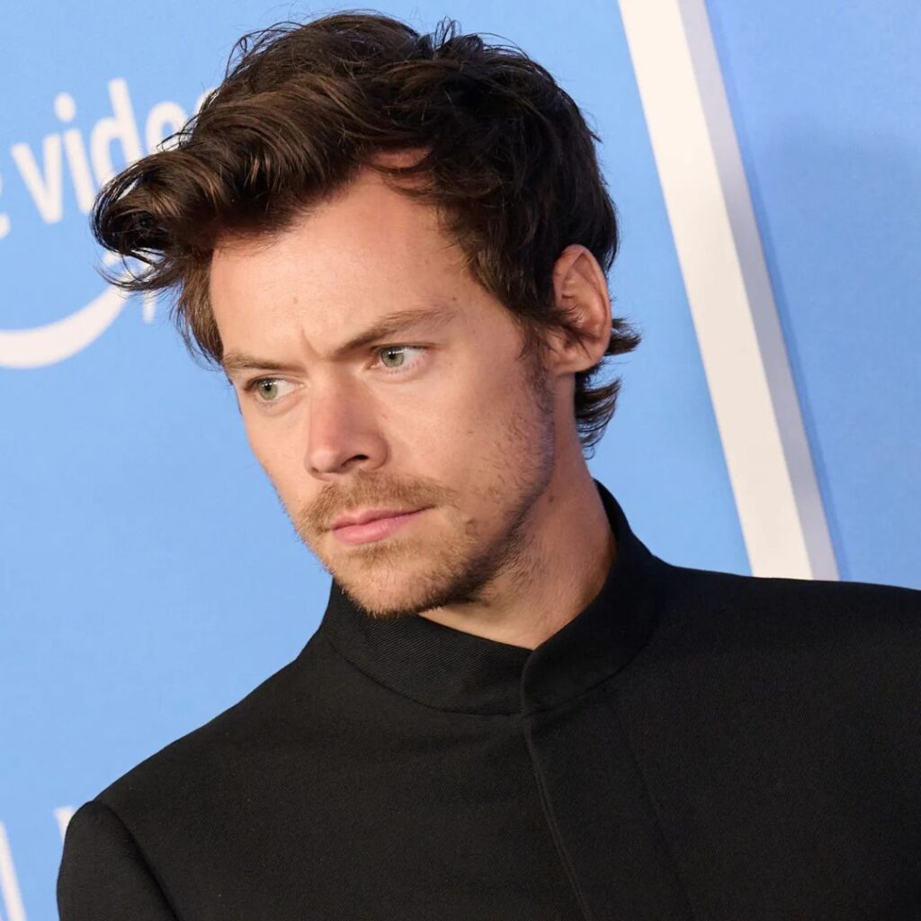 Harry Styles 'Devastated' by Chloe Fineman's SNL Impression: Details